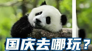 国庆去哪玩？上海三菱电梯等你来成都Fun假！